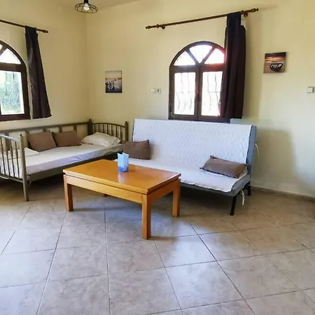 Spacy Cottage